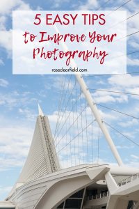 5 Easy Tips to Improve Your Photography