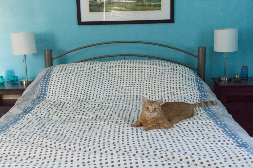 Guest Bedroom