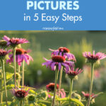 How to Take Better Pictures in 5 Easy Steps