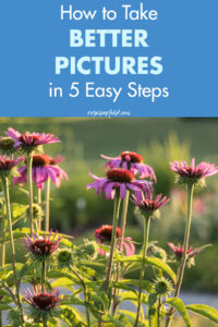 How to Take Better Pictures in 5 Easy Steps