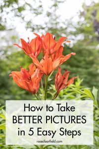 How to Take Better Pictures in 5 Easy Steps