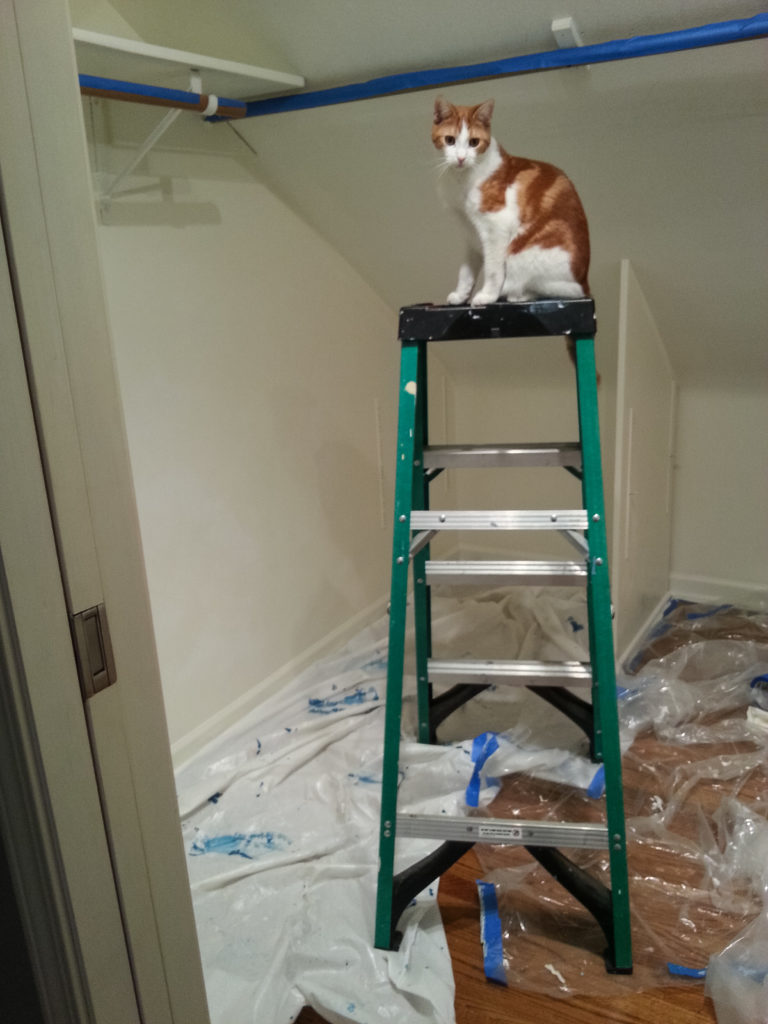 Hobbes on the ladder