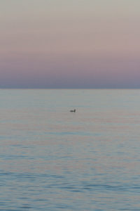 Lake Michigan at Wind Point Lighthouse at Golden Hour