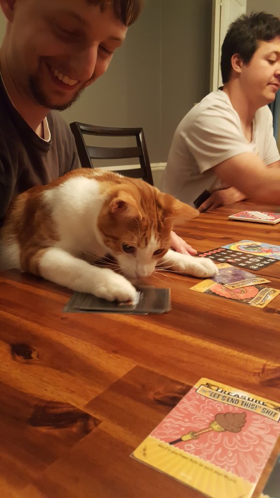 July 2016 Board Game Night with Hobbes