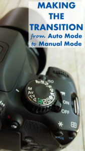 Making the Transition From Auto Mode to Manual Mode | https://www.roseclearfield.com