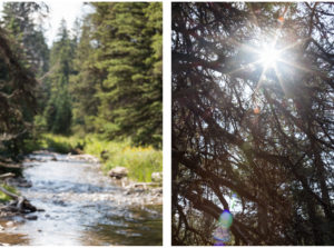 Montana August 2016