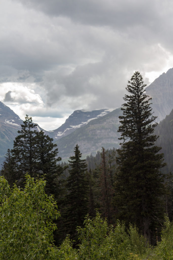 Montana August 2016