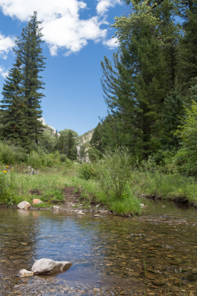 Montana August 2016