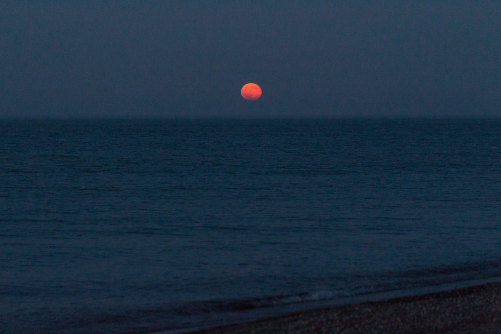 Moon Rise 7.20.16