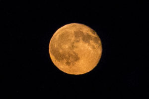 Moon Rise 7.20.16
