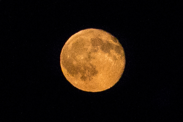 Moon Rise 7.20.16