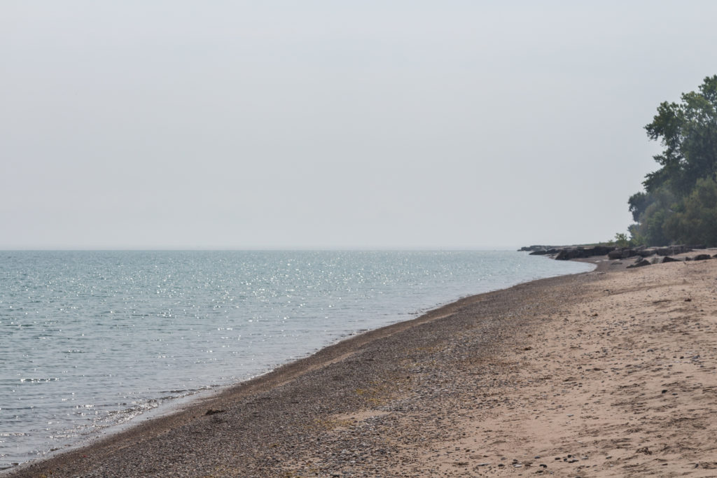 Morning at the Beach August 2016 | https://www.roseclearfield.com