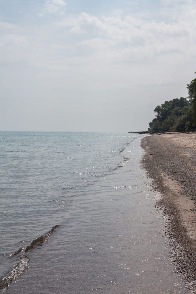 Morning at the Beach August 2016 | https://www.roseclearfield.com