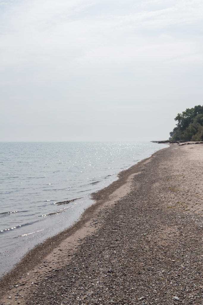 Morning at the Beach August 2016 | https://www.roseclearfield.com