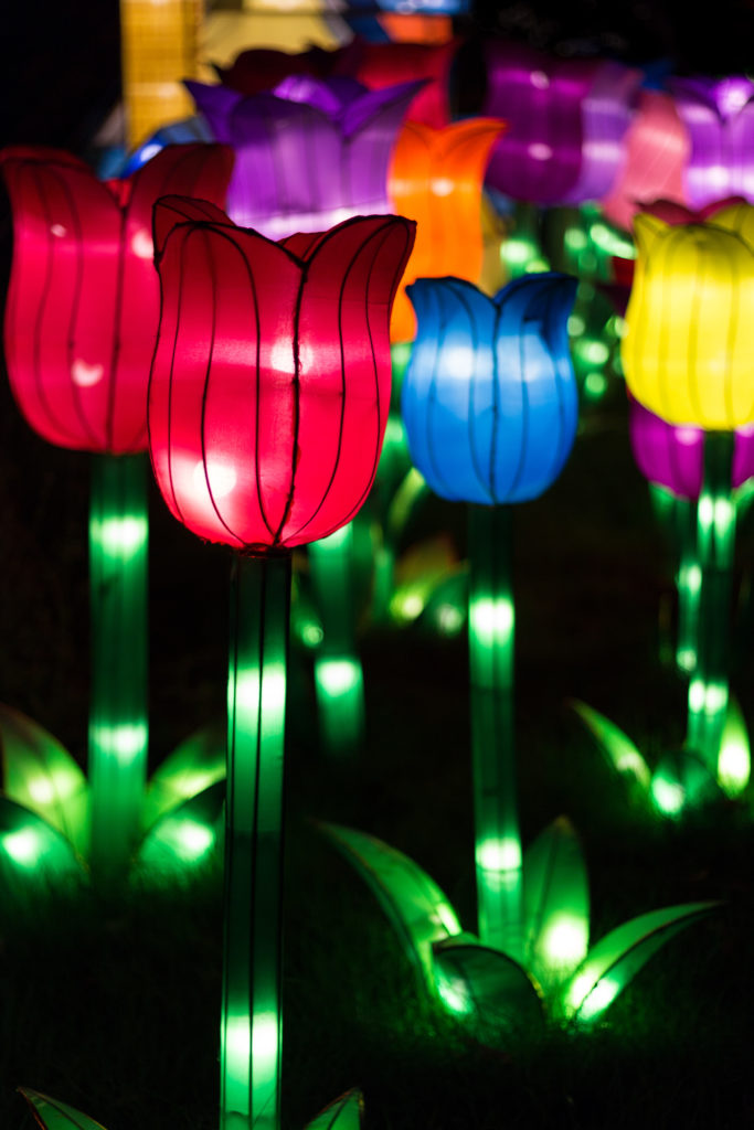 China Lights at the Boerner Botanical Gardens | https://www.roseclearfield.com