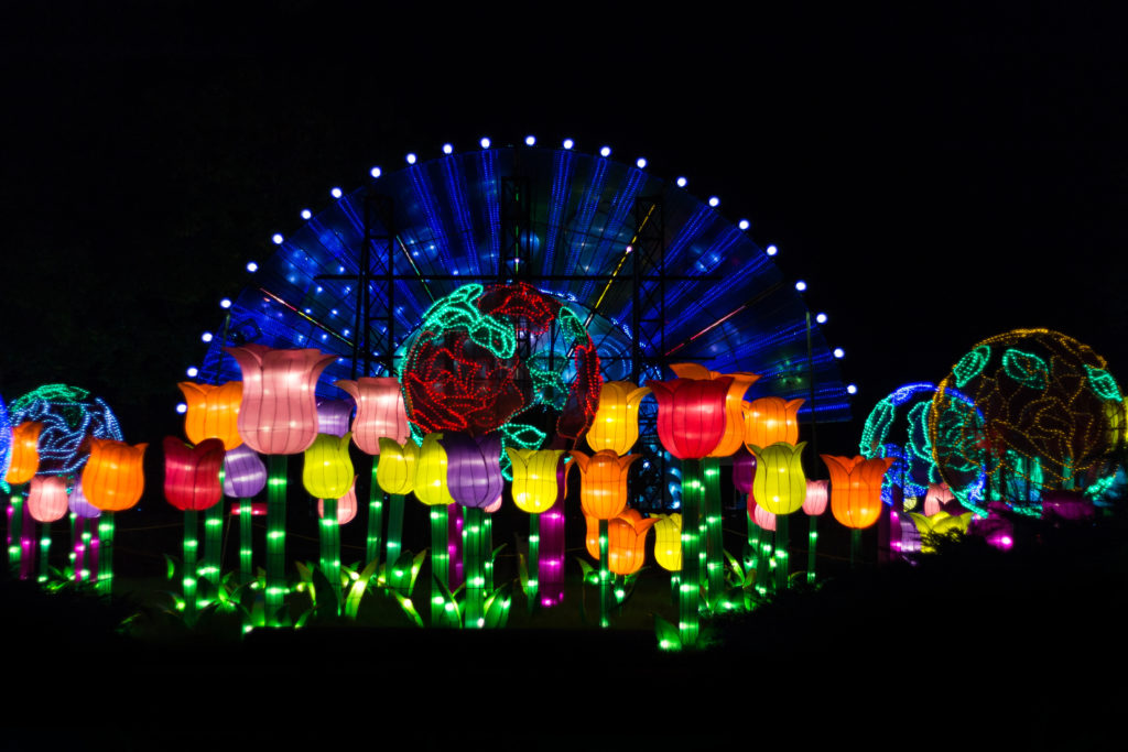 China Lights at the Boerner Botanical Gardens | https://www.roseclearfield.com