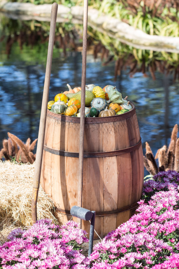 Fall Harvest Festival Floral Show at the Mitchell Park Domes | https://www.roseclearfield.com