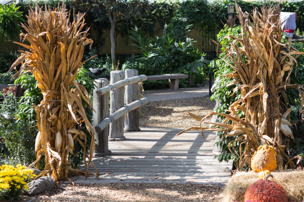 Fall Harvest Festival Floral Show at the Mitchell Park Domes | https://www.roseclearfield.com