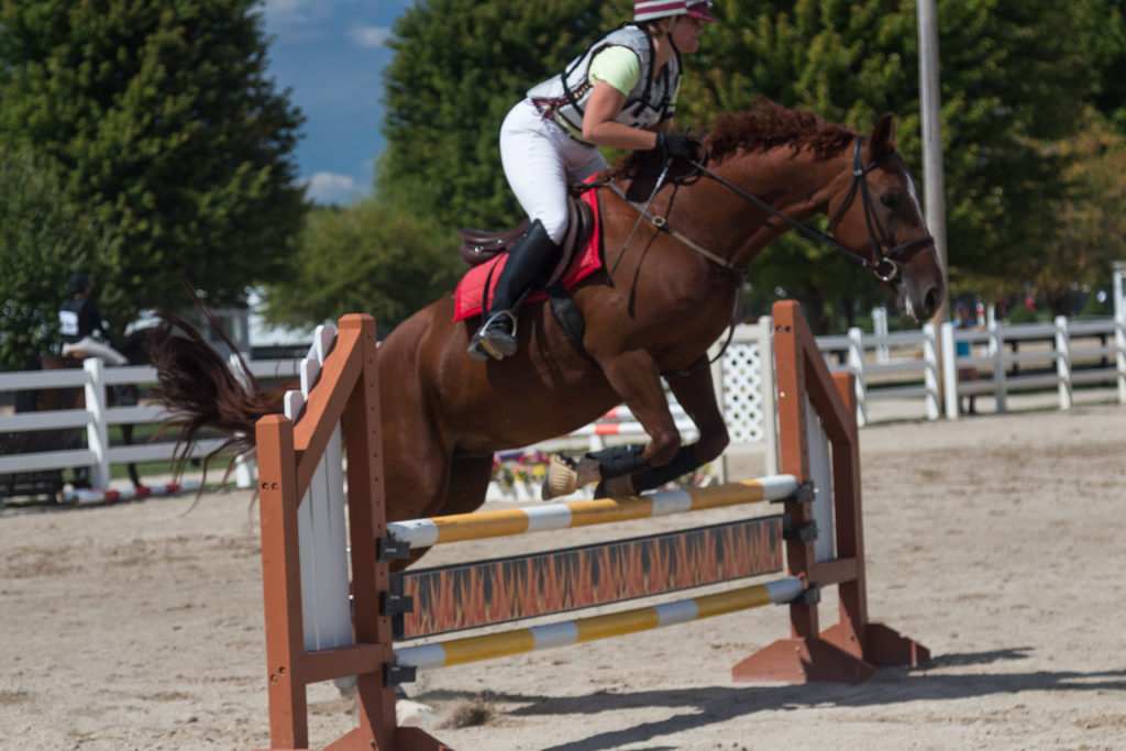 Silverwood Farm Fall Horse Trials | https://www.roseclearfield.com