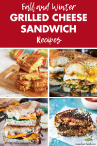 Fall and Winter Grilled Cheese Sandwich Recipes
