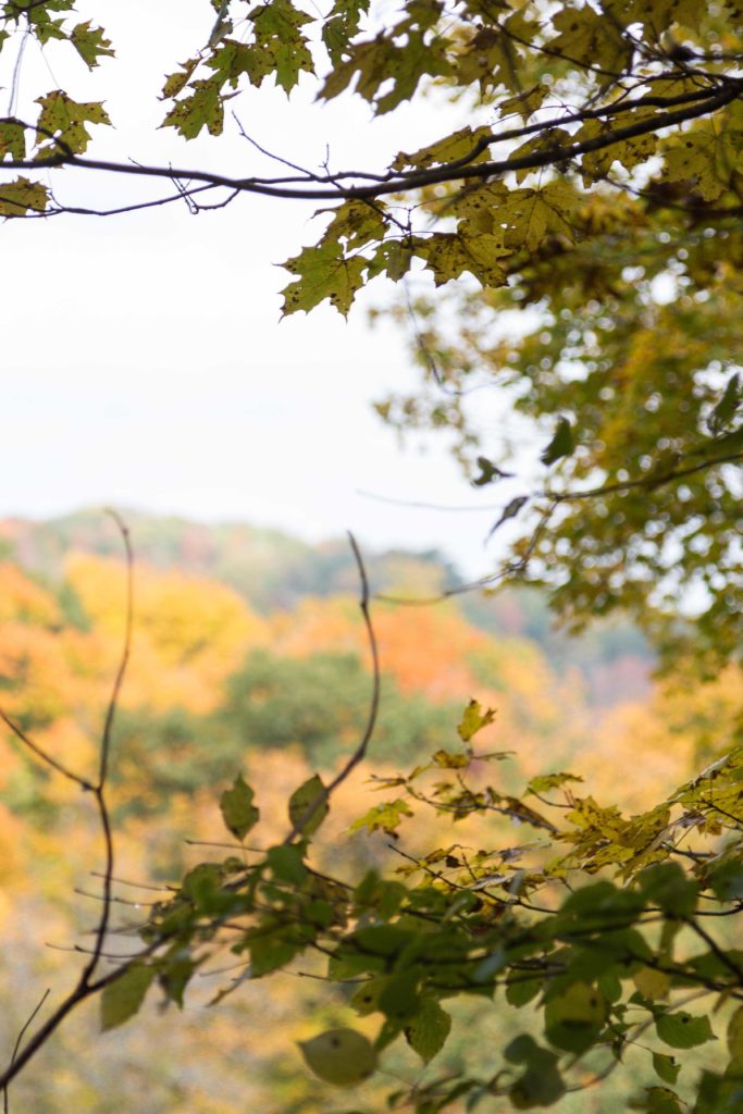 Holy Hill in autumn, gorgeous colors! | https://www.roseclearfield.com