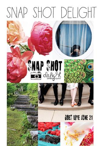 Alisa Burke's Snap Shot Live, a great gift for the photographer in your life. | https://www.roseclearfield.com