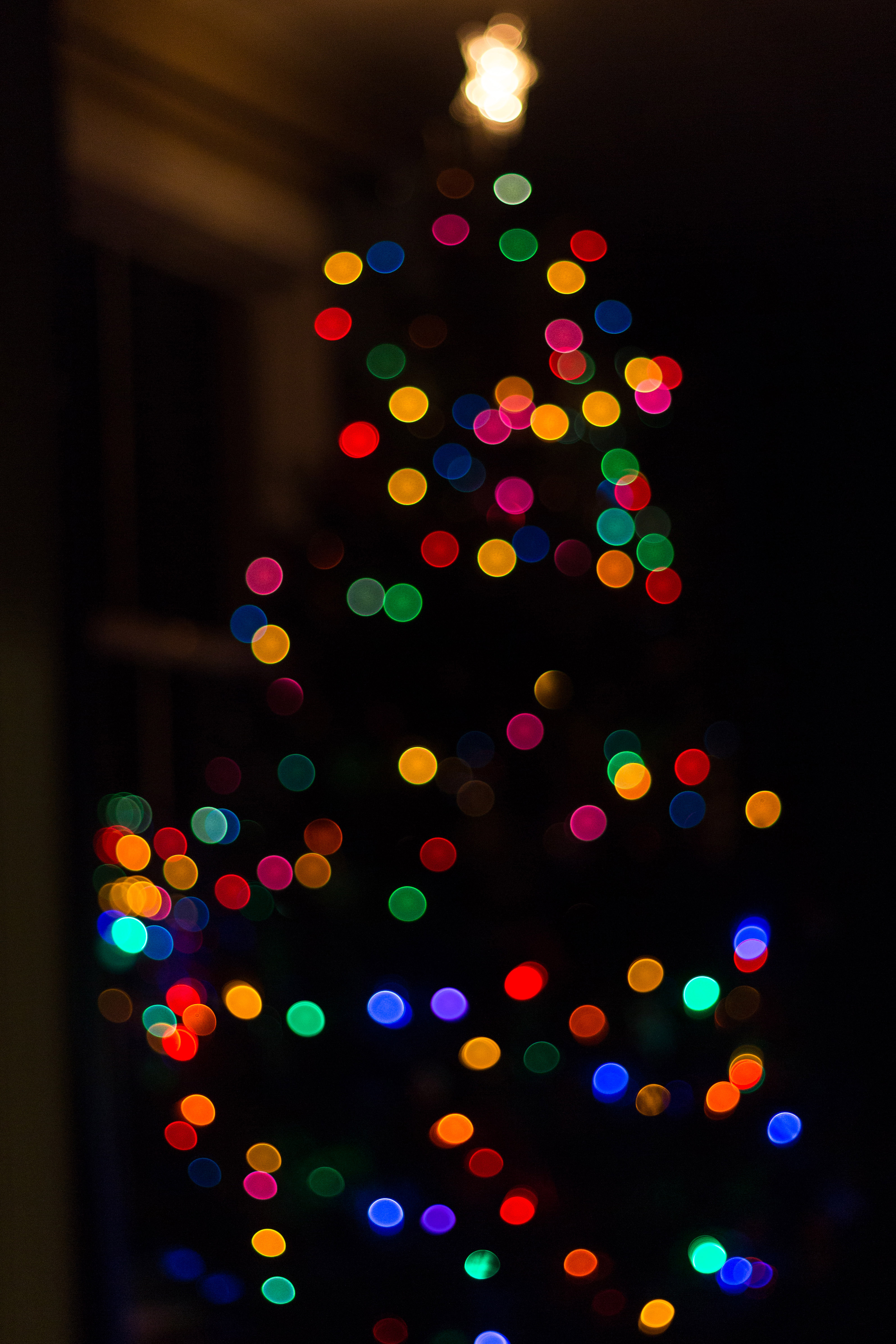 Christmas Tree Bokeh | https://www.roseclearfield.com