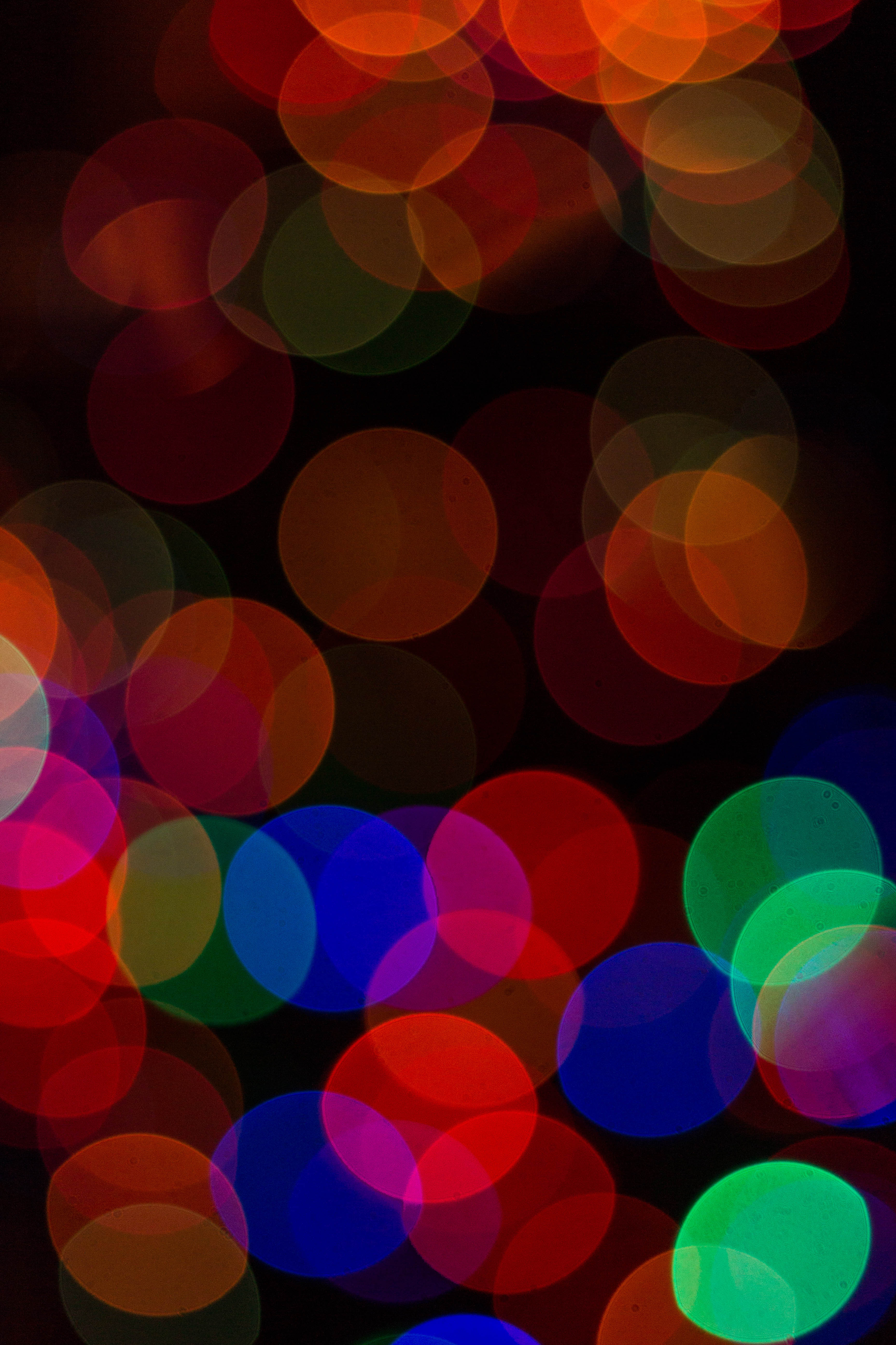 Christmas Lights Bokeh Play, 2016 Holidays | https://www.roseclearfield.com