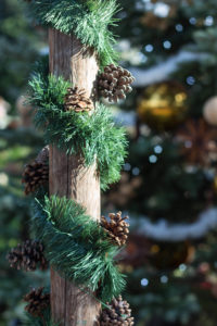 Not a Creature Was Stirring Holiday Floral Show at the Mitchell Park Domes | https://www.roseclearfield.com