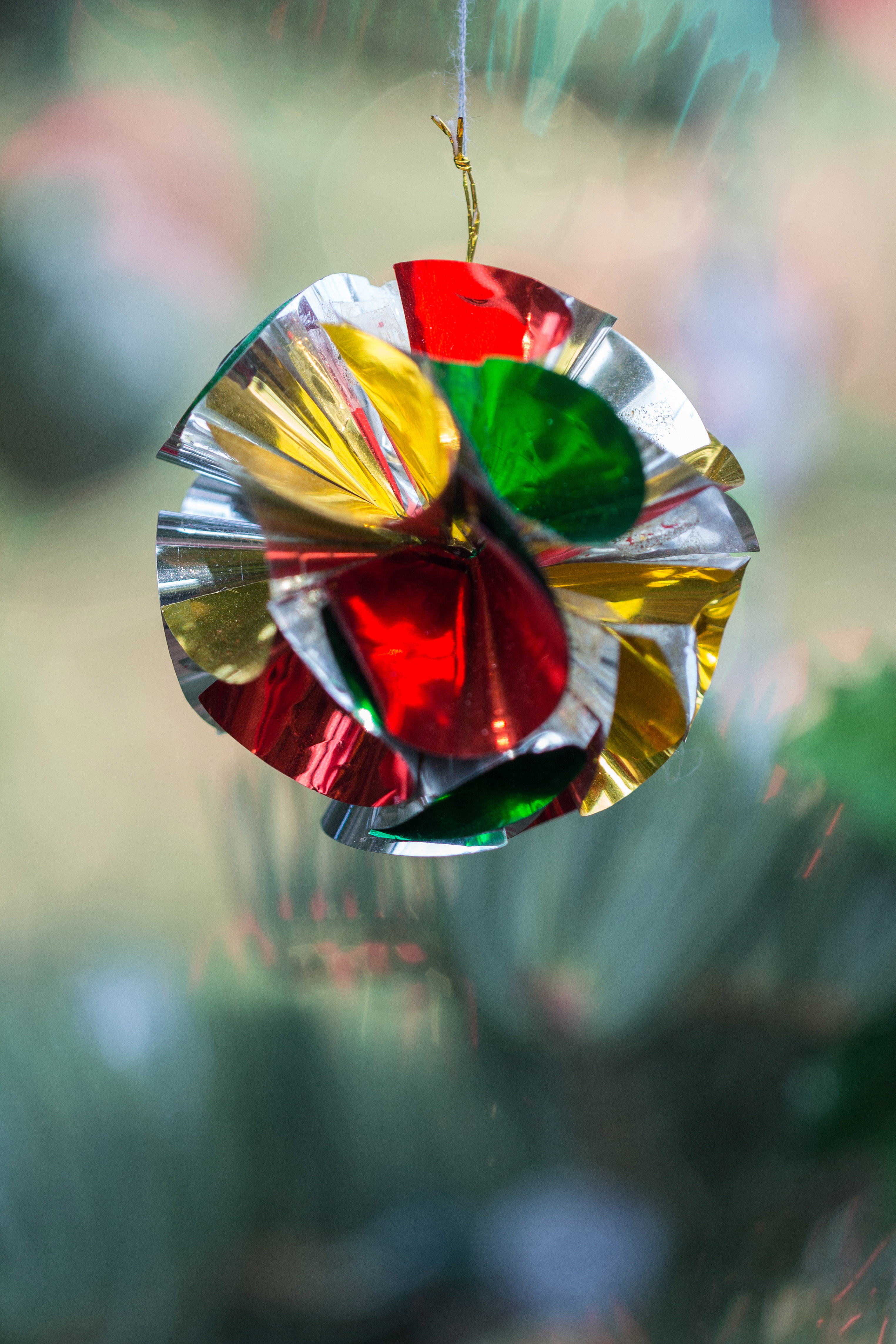 Not a Creature Was Stirring Holiday Floral Show at the Mitchell Park Domes | https://www.roseclearfield.com