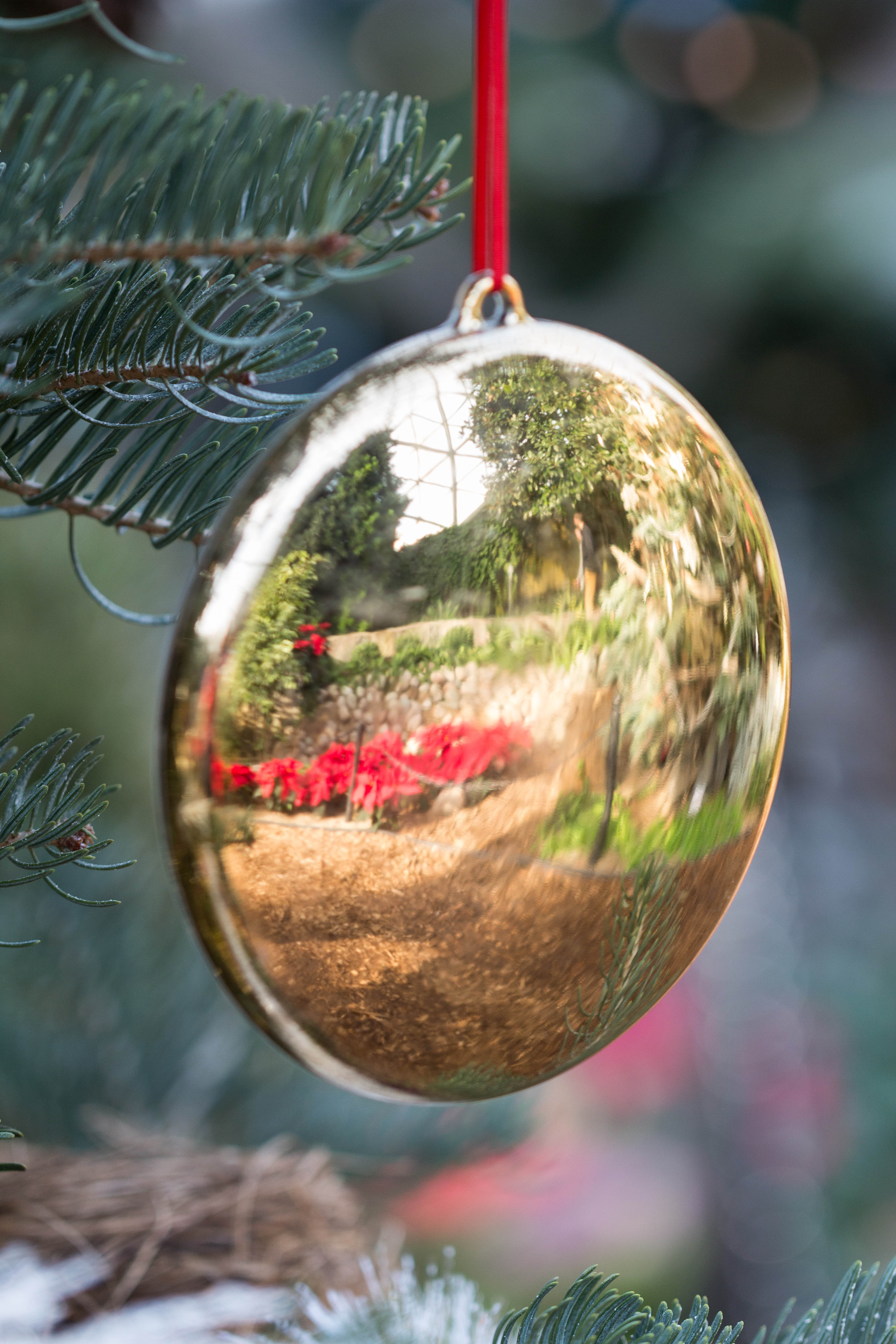 Not a Creature Was Stirring Holiday Floral Show at the Mitchell Park Domes | https://www.roseclearfield.com