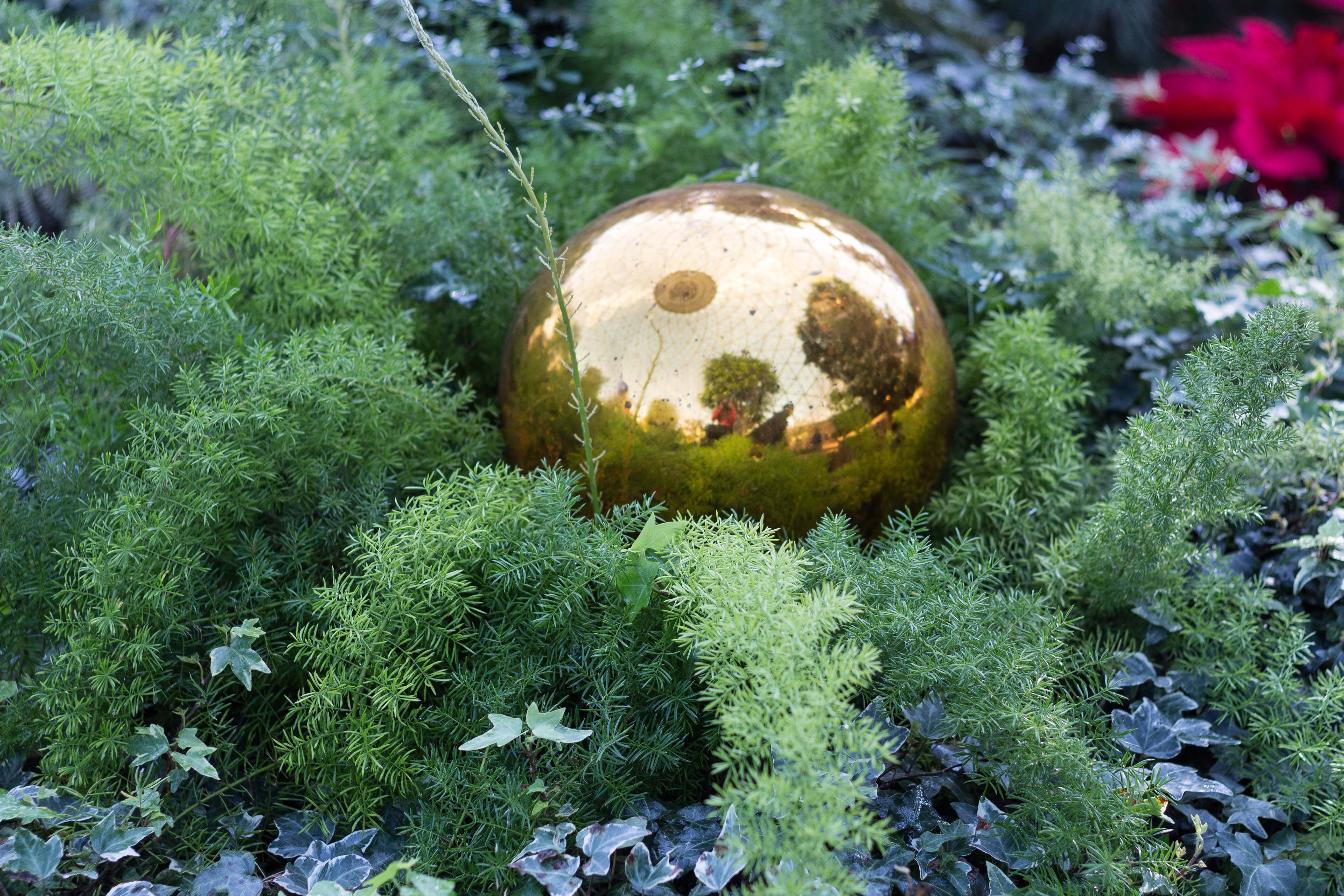 Not a Creature Was Stirring Holiday Floral Show at the Mitchell Park Domes | https://www.roseclearfield.com