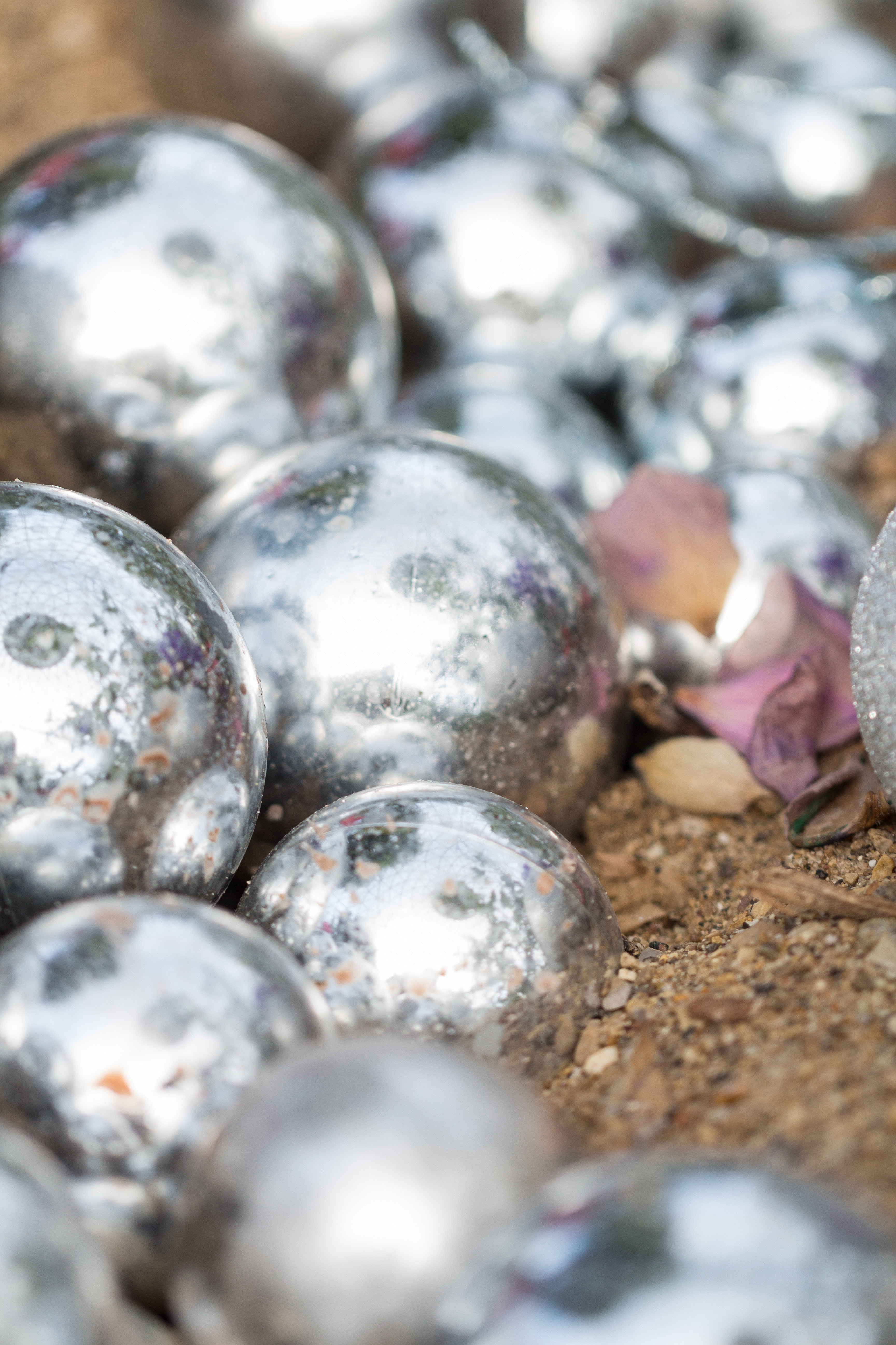 not-a-creature-was-stirring-holiday-floral-show-at-the-domes