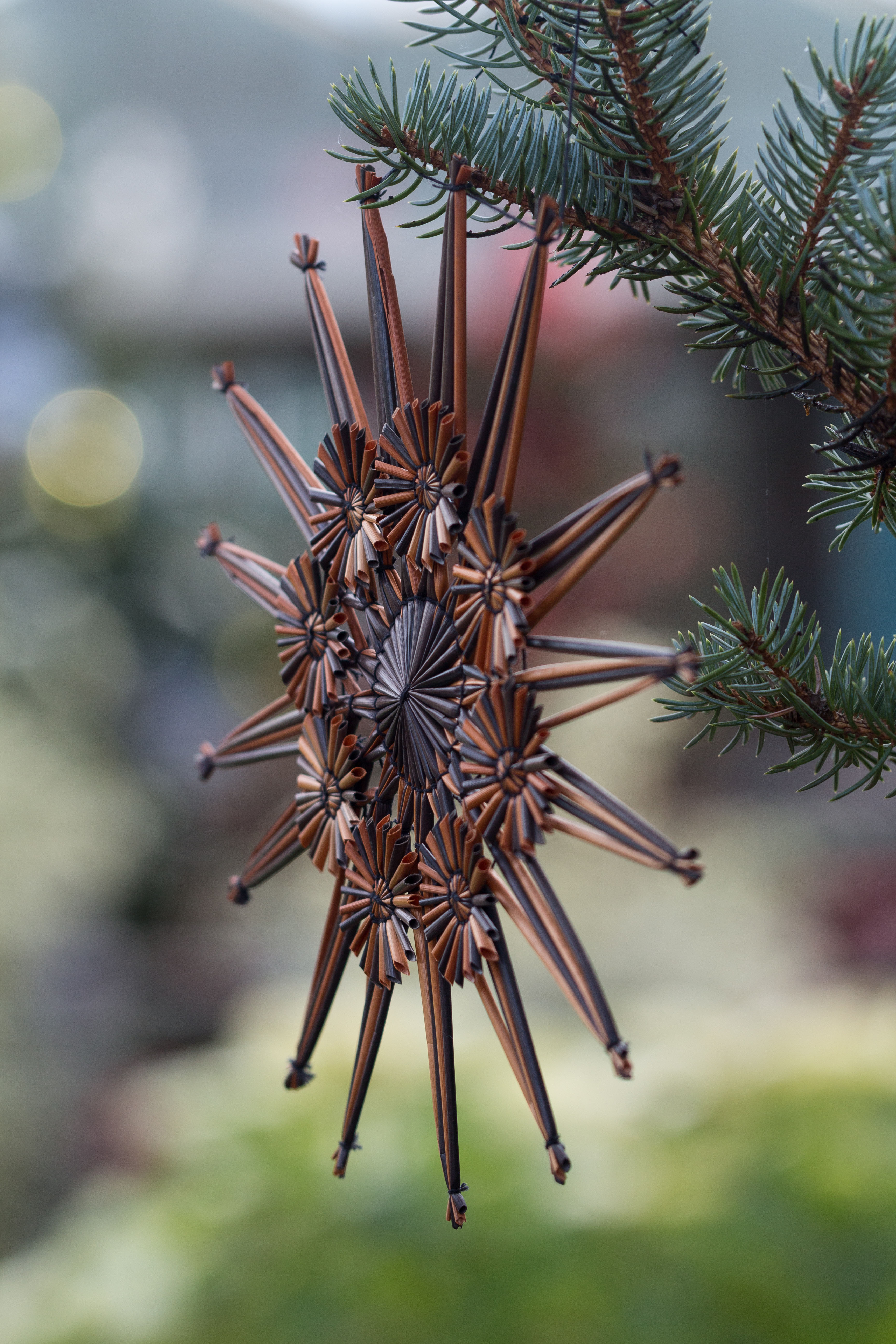 not-a-creature-was-stirring-holiday-floral-show-at-the-domes