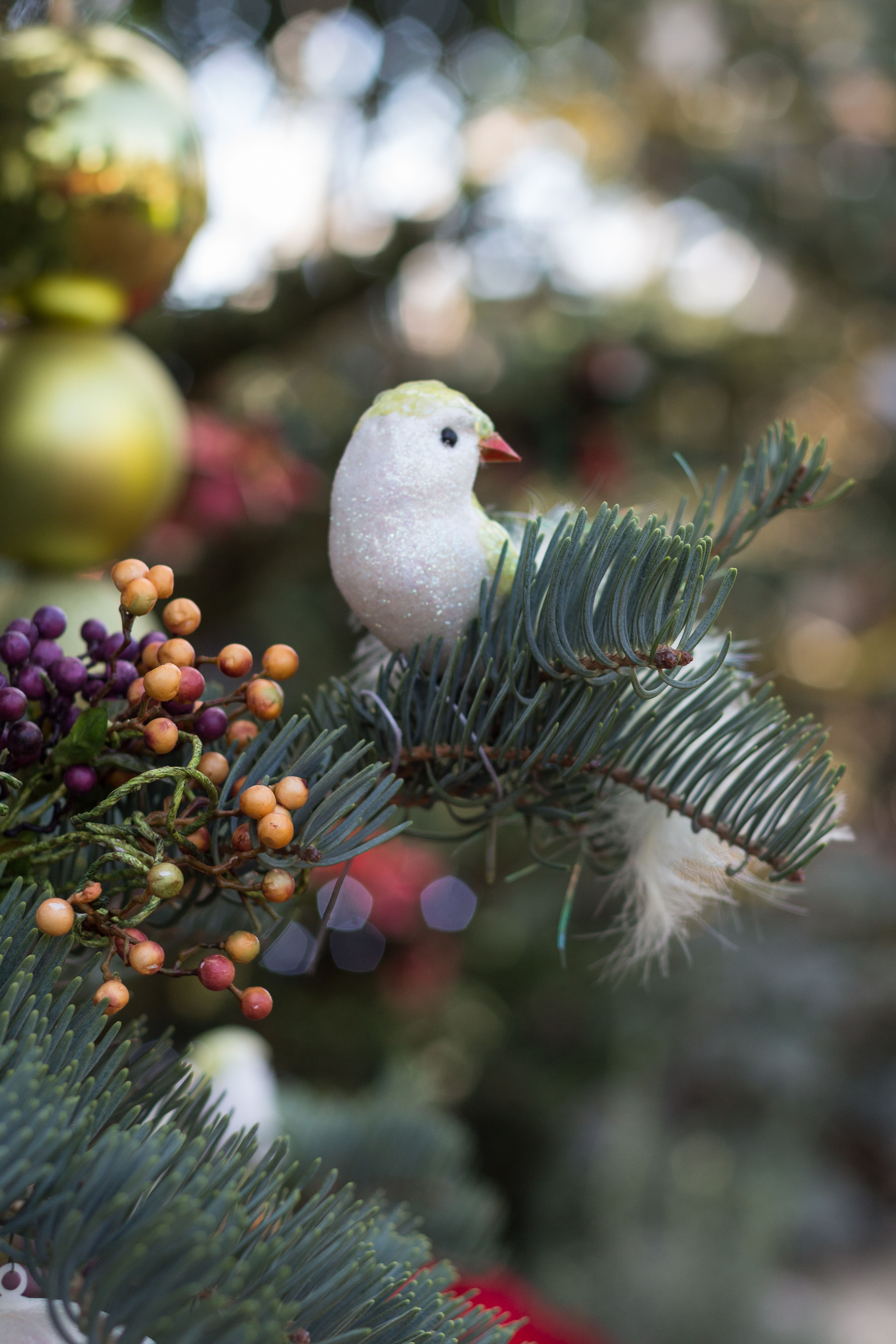 Not a Creature Was Stirring Holiday Floral Show at the Mitchell Park Domes | https://www.roseclearfield.com