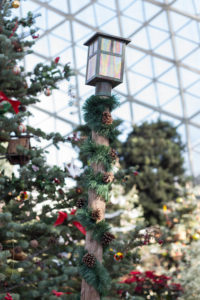 Not a Creature Was Stirring Holiday Floral Show at the Mitchell Park Domes | https://www.roseclearfield.com