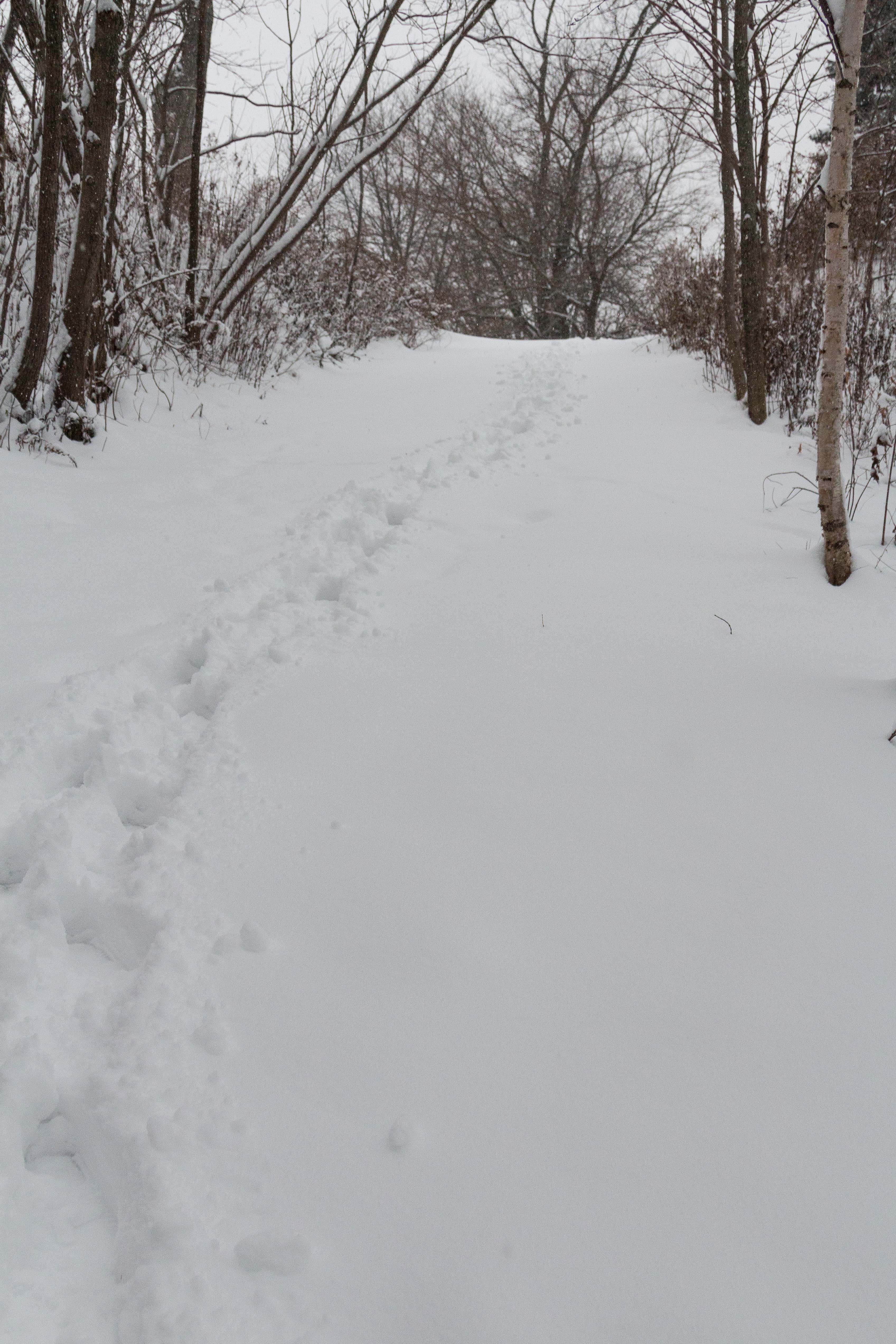 Snowfall on the Lake Michigan Beachfront in Southeast, WI | https://www.roseclearfield.com