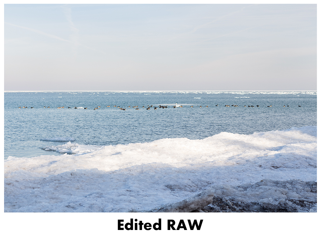 JPEG vs RAW - Edited RAW | https://www.roseclearfield.com