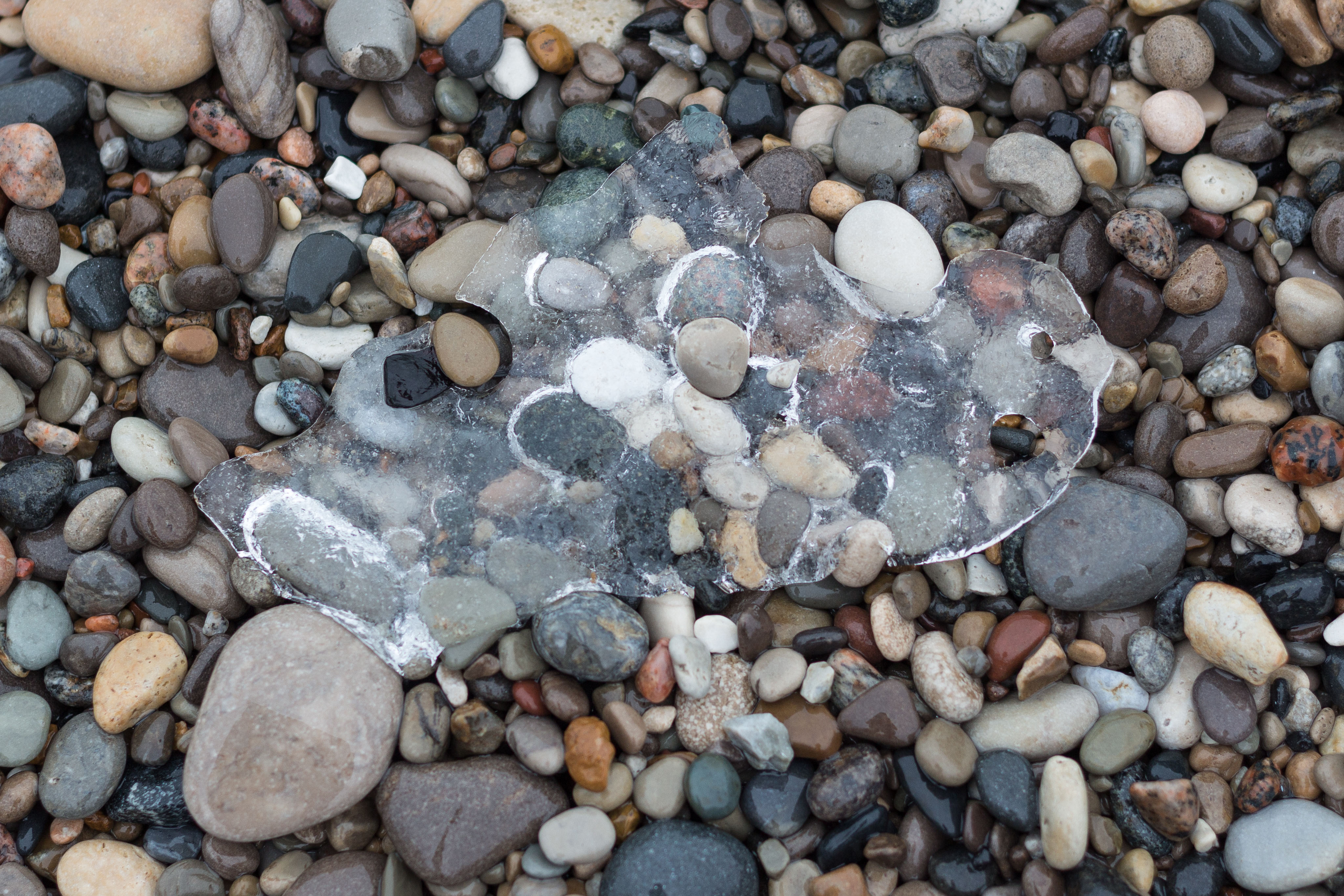 Sliver of Ice on the Rocky Beach | https://www.roseclearfield.com