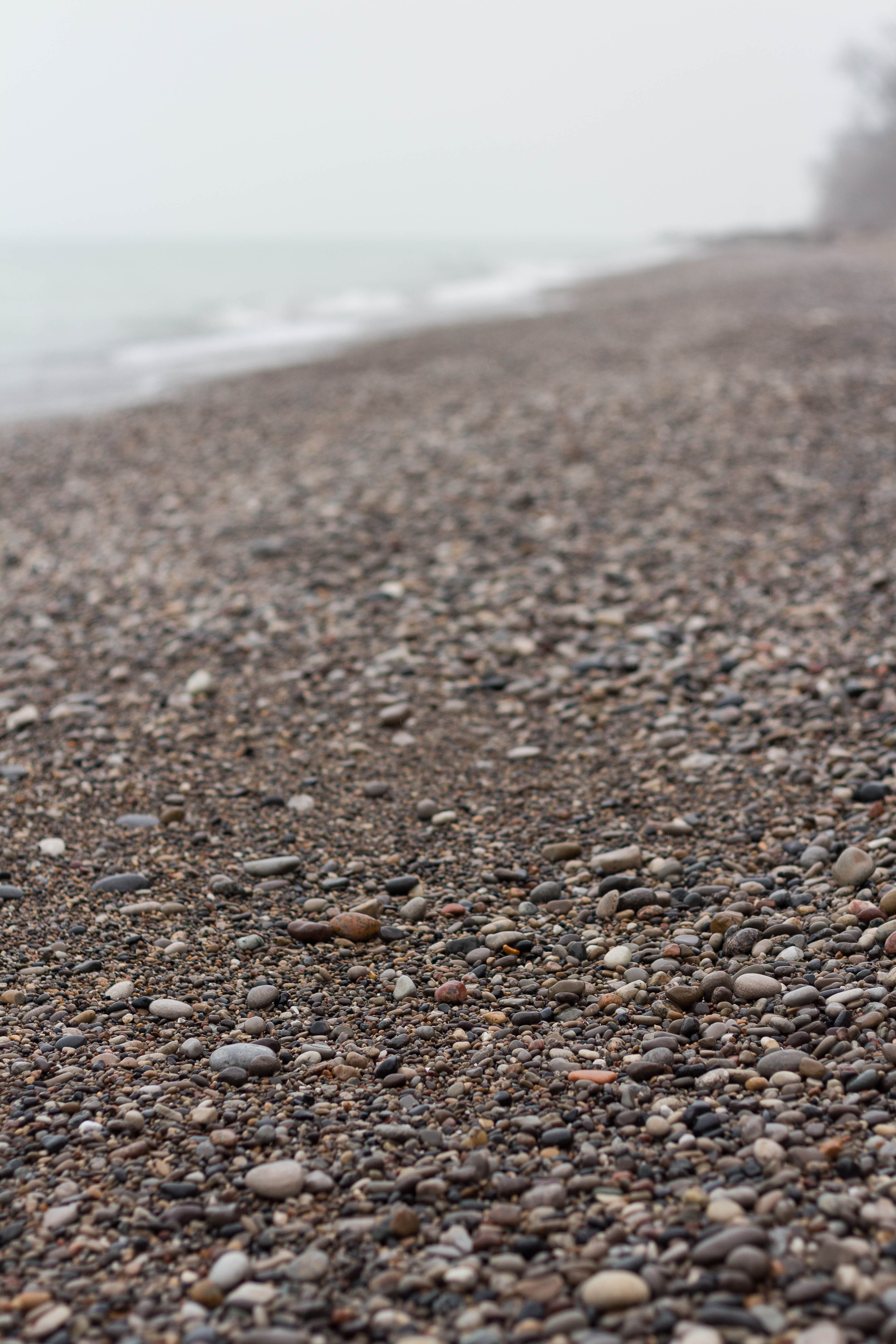 Foggy Winter Beach Vibes | https://www.roseclearfield.com