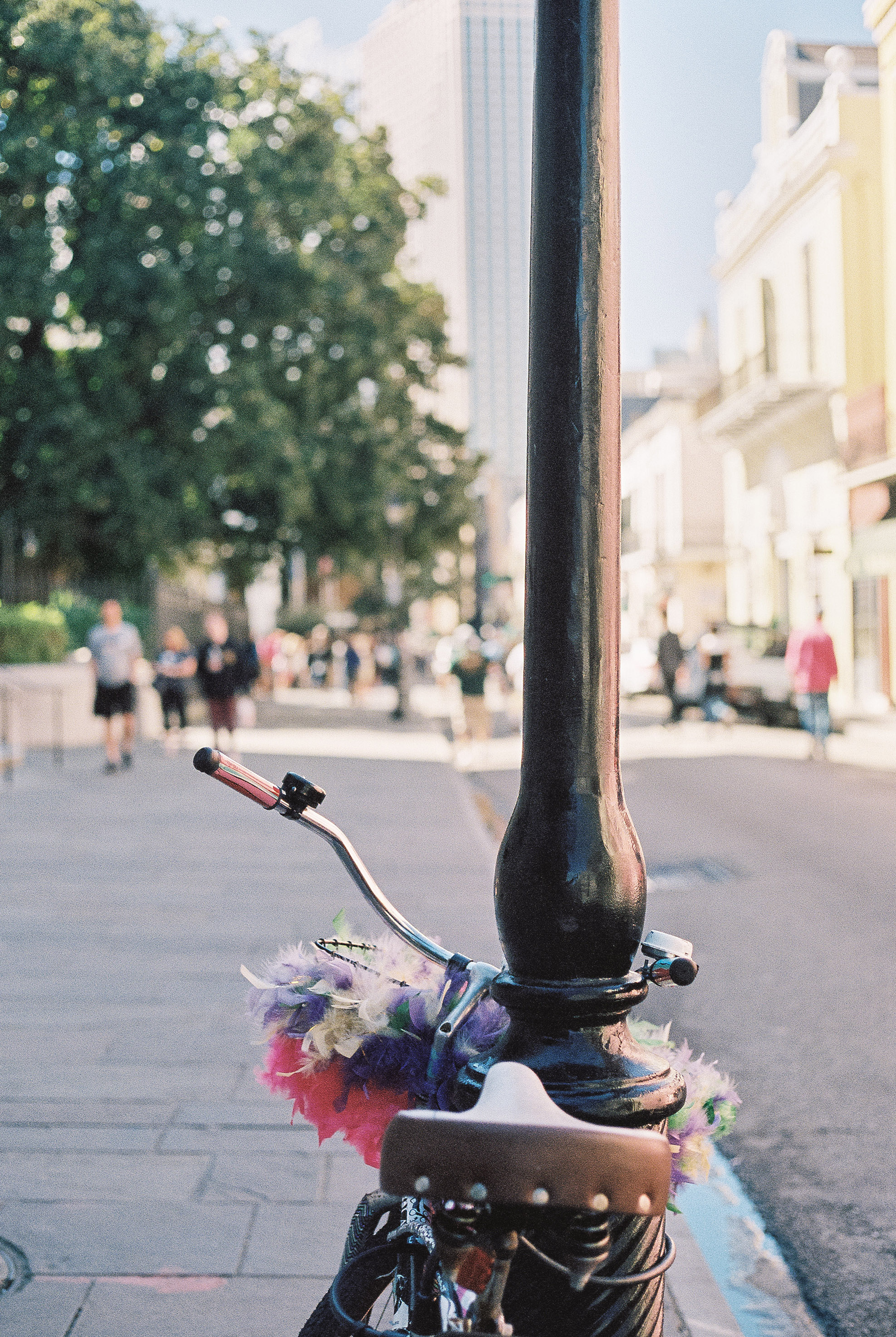 New Orleans, October 2016, Film Photography - Canon AE-1, 50mm f/1.8, Portra 400 | https://www.roseclearfield.com