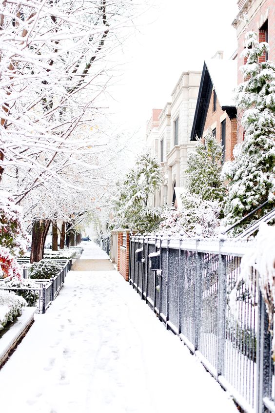 Winter Photography Inspiration - Picturesque Chicago Winter | https://www.roseclearfield.com