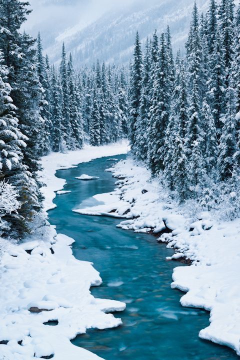 Winter Photography Inspiration - River in the Snowy Woods | https://www.roseclearfield.com