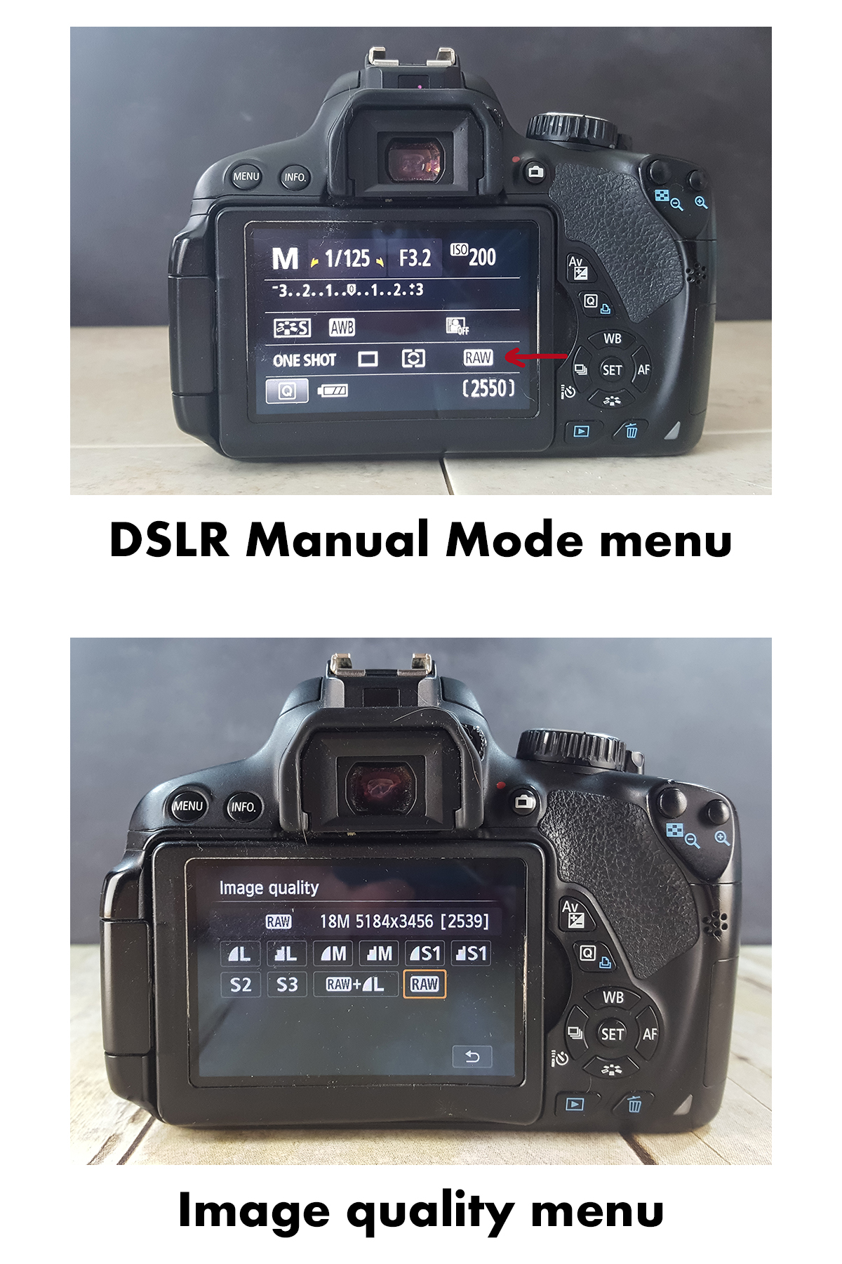 Shooting RAW DSLR Menus | https://www.roseclearfield.com