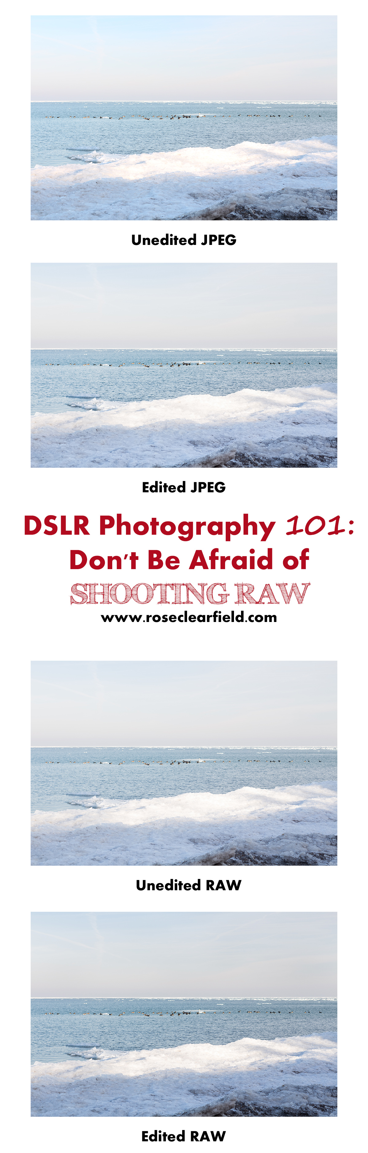 DSLR Photography 101: Don't Be Afraid of Shooting RAW | https://www.roseclearfield.com