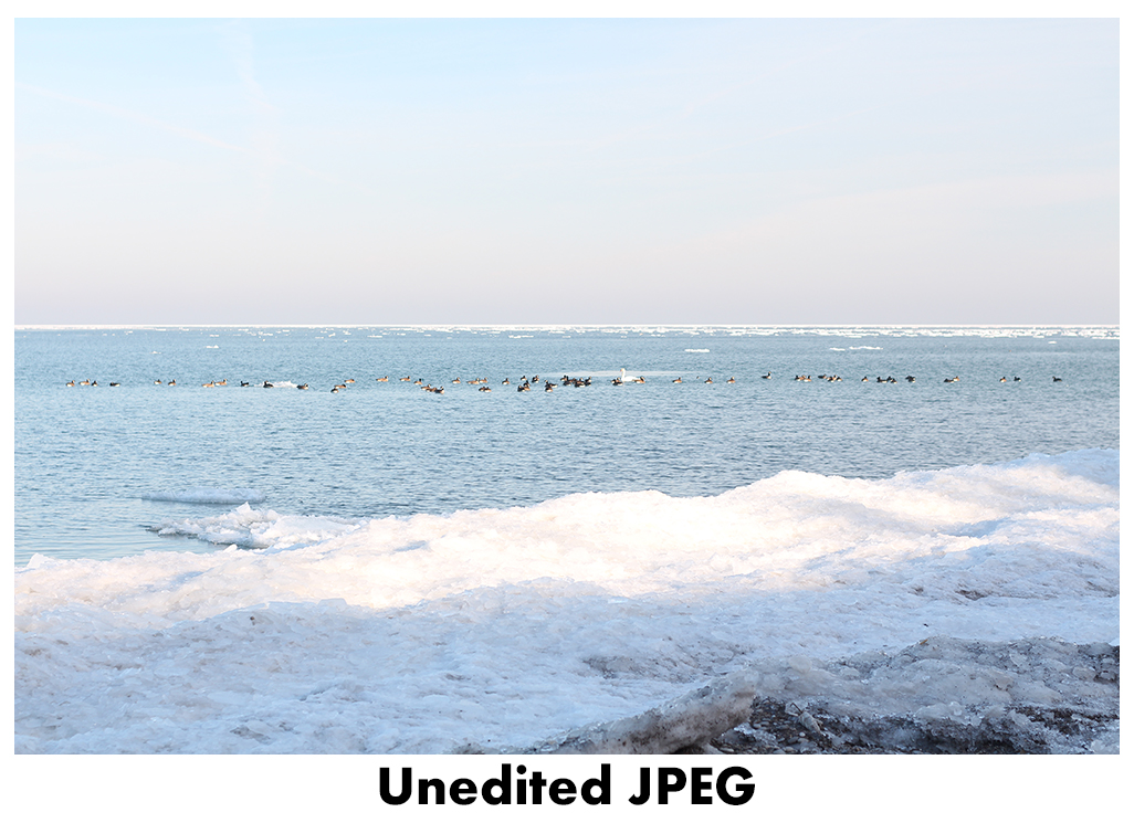 JPEG vs RAW - Unedited JPEG | https://www.roseclearfield.com