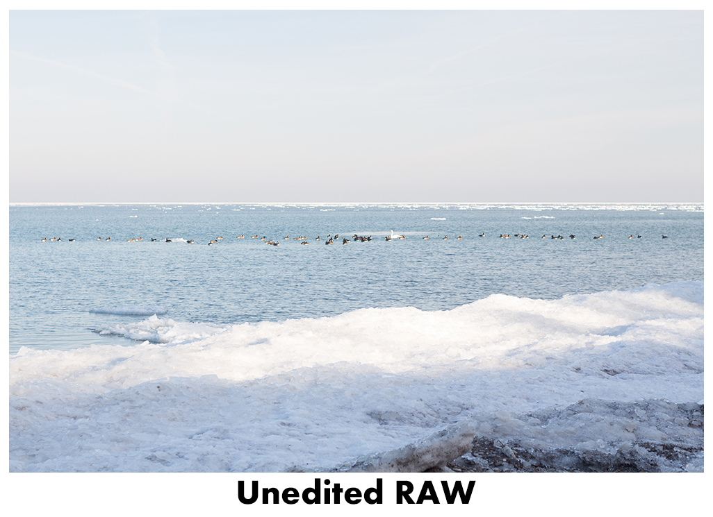 JPEG vs RAW - Unedited RAW | https://www.roseclearfield.com