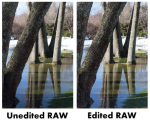 Unedited Vs Edited RAW | https://www.roseclearfield.com