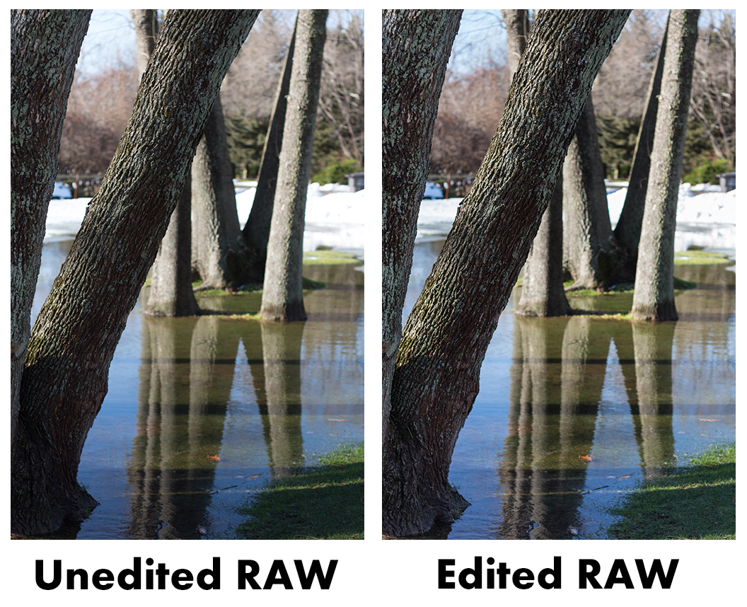 Unedited Vs Edited RAW | https://www.roseclearfield.com