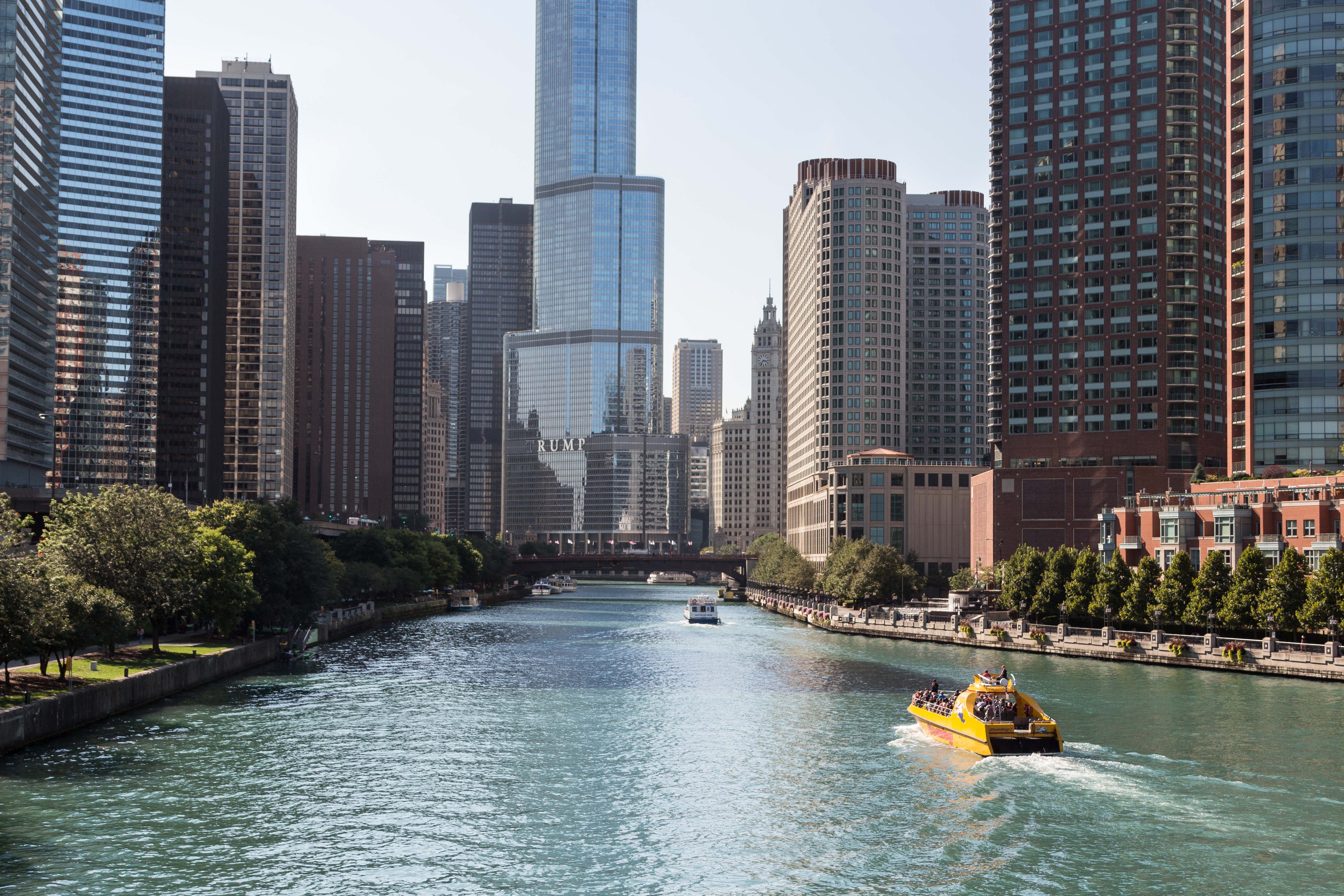 Chicago September 2015 | https://www.roseclearfield.com